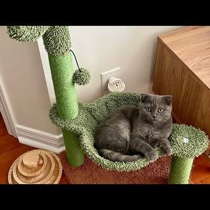 31” Cat Tree